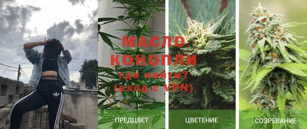 ГАЛЛЮЦИНОГЕННЫЕ ГРИБЫ Аркадак