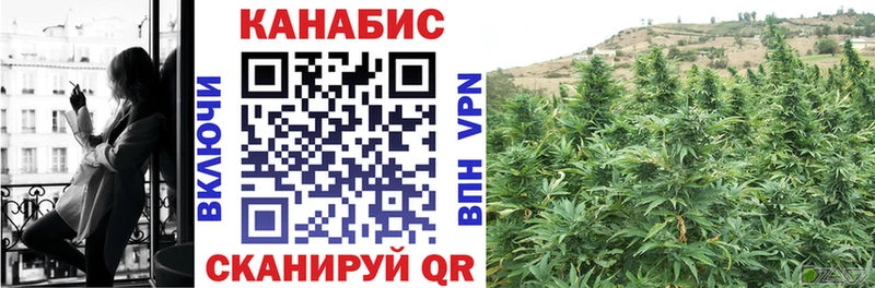 купить Поворино МАРИХУАНА план